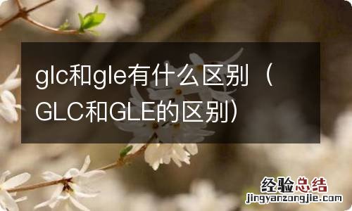 GLC和GLE的区别 glc和gle有什么区别