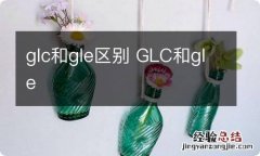 glc和gle区别 GLC和gle