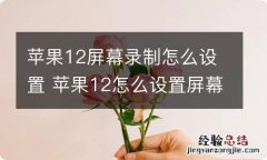 苹果12屏幕录制怎么设置 苹果12怎么设置屏幕录制