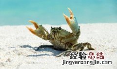 河蟹吃不完可以放冰箱冷冻吗 河蟹用冰箱冷冻后,还可以吃不