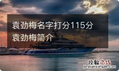 袁劲梅名字打分115分 袁劲梅简介