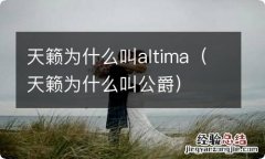 天籁为什么叫公爵 天籁为什么叫altima