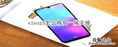 vivoz5怎么将负一屏关掉