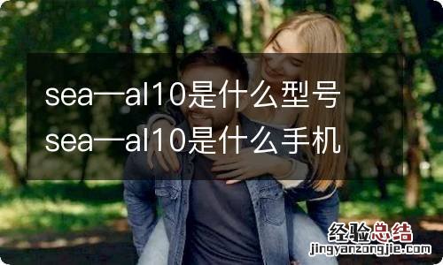 sea—al10是什么型号 sea—al10是什么手机