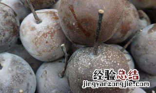 冻梨如何食用 冻梨如何食用效果好