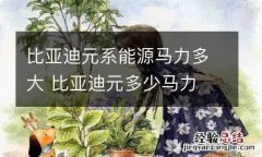 比亚迪元系能源马力多大 比亚迪元多少马力