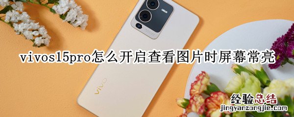 vivo手机照片怎么查看显示时间地点 vivos15pro怎么开启查看图片时屏幕常亮