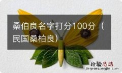 民国桑柏良 桑伯良名字打分100分