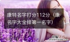 康名字大全排第一名字 康特名字打分112分