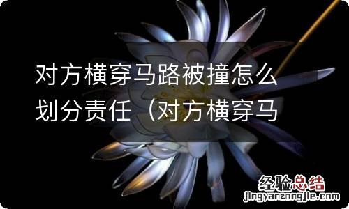 对方横穿马路被撞怎么划分责任电瓶车 对方横穿马路被撞怎么划分责任