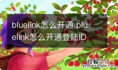 bluelink怎么开通 bluelink怎么开通登陆ID