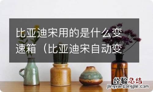 比亚迪宋自动变速箱是什么牌子的 比亚迪宋用的是什么变速箱