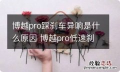 博越pro踩刹车异响是什么原因 博越pro低速刹车有晃荡的声音