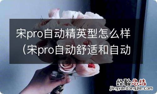 宋pro自动舒适和自动精英 宋pro自动精英型怎么样