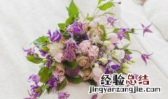 鲜花花语大全 鲜花花语介绍