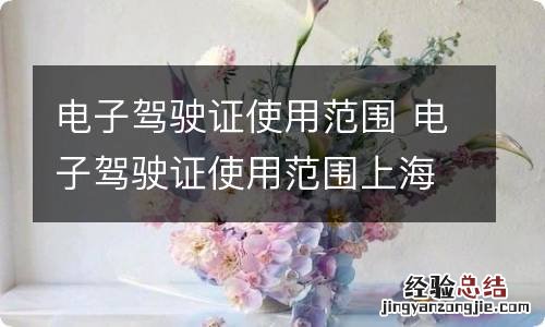 电子驾驶证使用范围 电子驾驶证使用范围上海