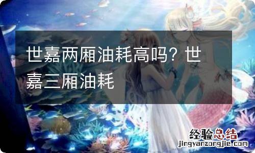 世嘉两厢油耗高吗? 世嘉三厢油耗
