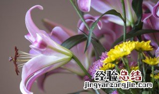 怎么养花店拿回来的鲜花 这些技巧要注意