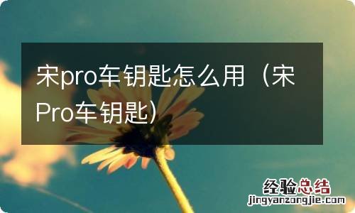宋Pro车钥匙 宋pro车钥匙怎么用