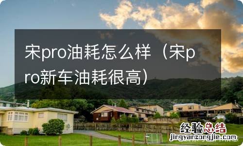宋pro新车油耗很高 宋pro油耗怎么样