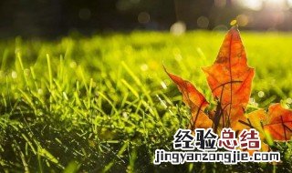 夏末秋初的唯美句子 夏末秋初的唯美句子列述