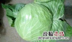 我们该怎么挑选圆白菜呢 我们该如何挑选圆白菜呢