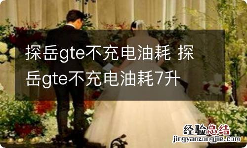 探岳gte不充电油耗 探岳gte不充电油耗7升