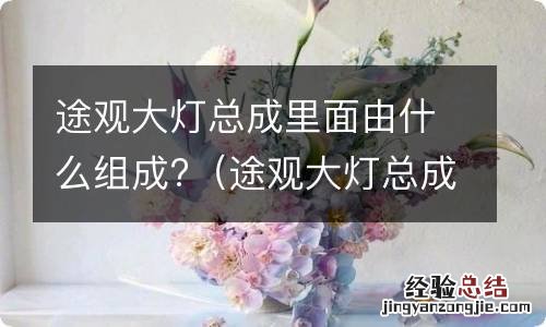 途观大灯总成图解 途观大灯总成里面由什么组成?