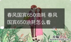 春风国宾650油耗 春风国宾650油耗怎么看