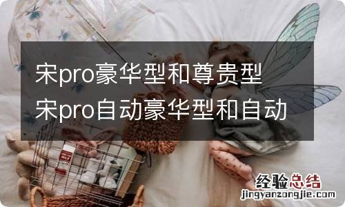 宋pro豪华型和尊贵型 宋pro自动豪华型和自动尊贵型