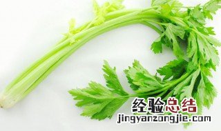 芹菜要不要焯水