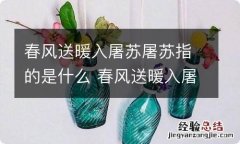 春风送暖入屠苏屠苏指的是什么 春风送暖入屠苏的上一句