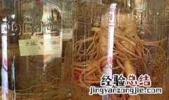 人参泡酒怎么泡 人参泡酒泡的方法