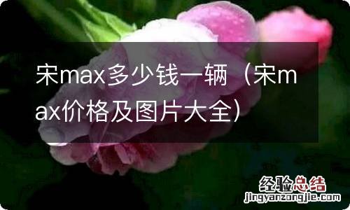 宋max价格及图片大全 宋max多少钱一辆