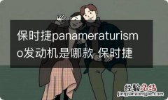 保时捷panameraturismo发动机是哪款 保时捷panamera发动机型号