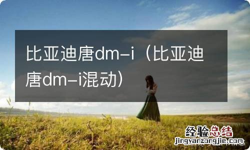 比亚迪唐dm-i混动 比亚迪唐dm-i