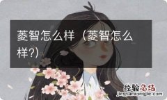 菱智怎么样? 菱智怎么样