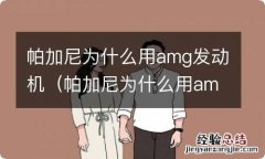 帕加尼为什么用amg发动机不好 帕加尼为什么用amg发动机