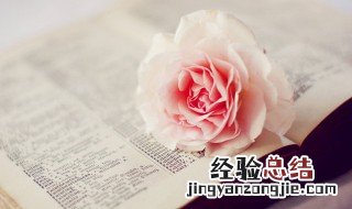 温柔又暖的正能量句子 有什么温柔又暖的说说