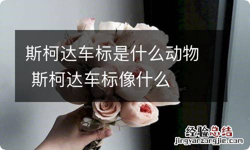 斯柯达车标是什么动物 斯柯达车标像什么