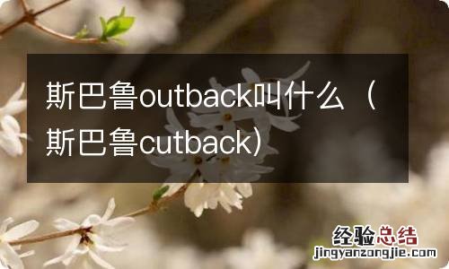 斯巴鲁cutback 斯巴鲁outback叫什么