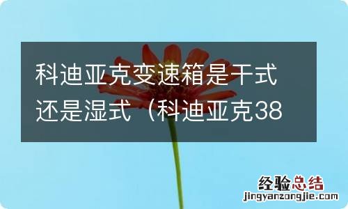 科迪亚克380高功率版变速箱 科迪亚克变速箱是干式还是湿式