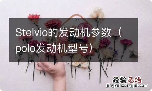 polo发动机型号 Stelvio的发动机参数