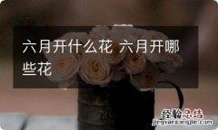 六月开什么花 六月开哪些花