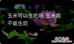 玉米可以生吃吗 玉米能不能生吃