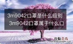 3m9042口罩是什么级别 3m9042口罩属于什么口罩