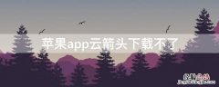 iPhoneapp云箭头下载不了