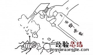 蟑螂幼虫长什么样 蟑螂幼虫跟成虫形态有何区别