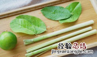 香茅是什么味道 香茅是什么植物