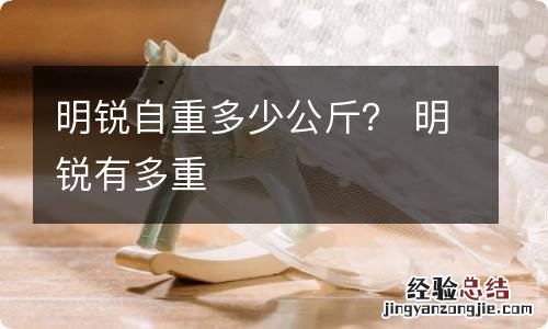 明锐自重多少公斤？ 明锐有多重